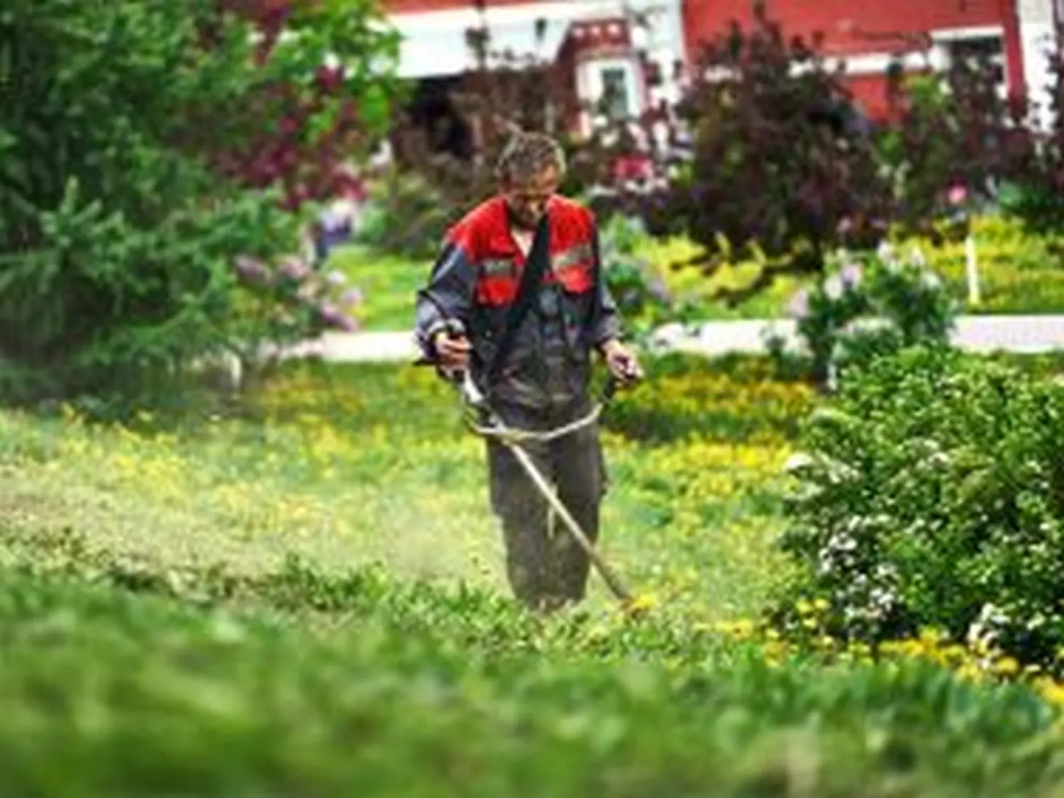 Rasenpflege von Clever Clean